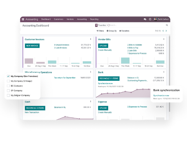Odoo Financial Apps implementation services