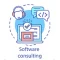 Software Consulting Services​