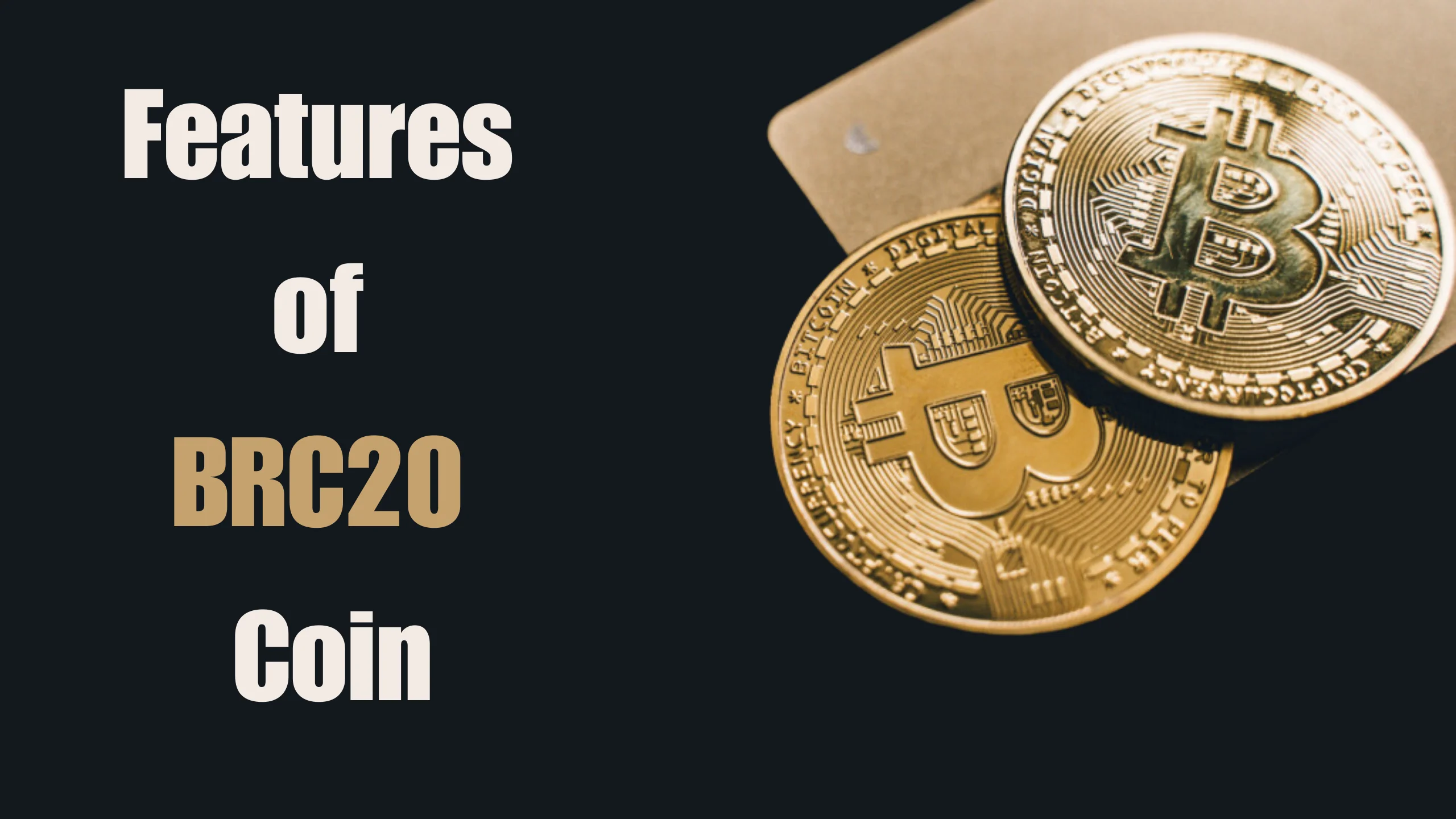 Key features of BRC20 coins for seamless transactions and robust functionality.