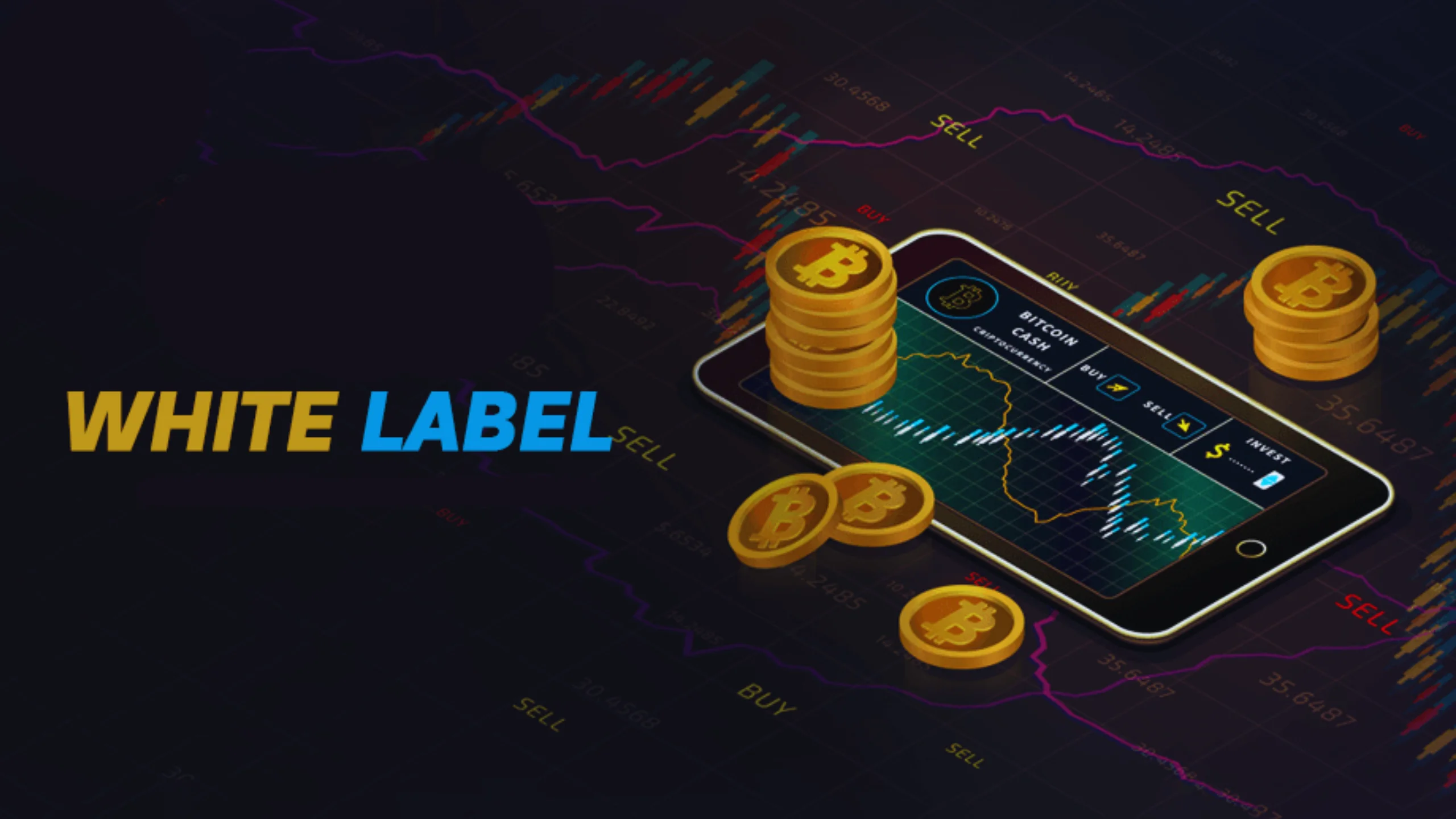 White Label Crypto Exchange: Customize your own digital asset trading platform effortlessly.