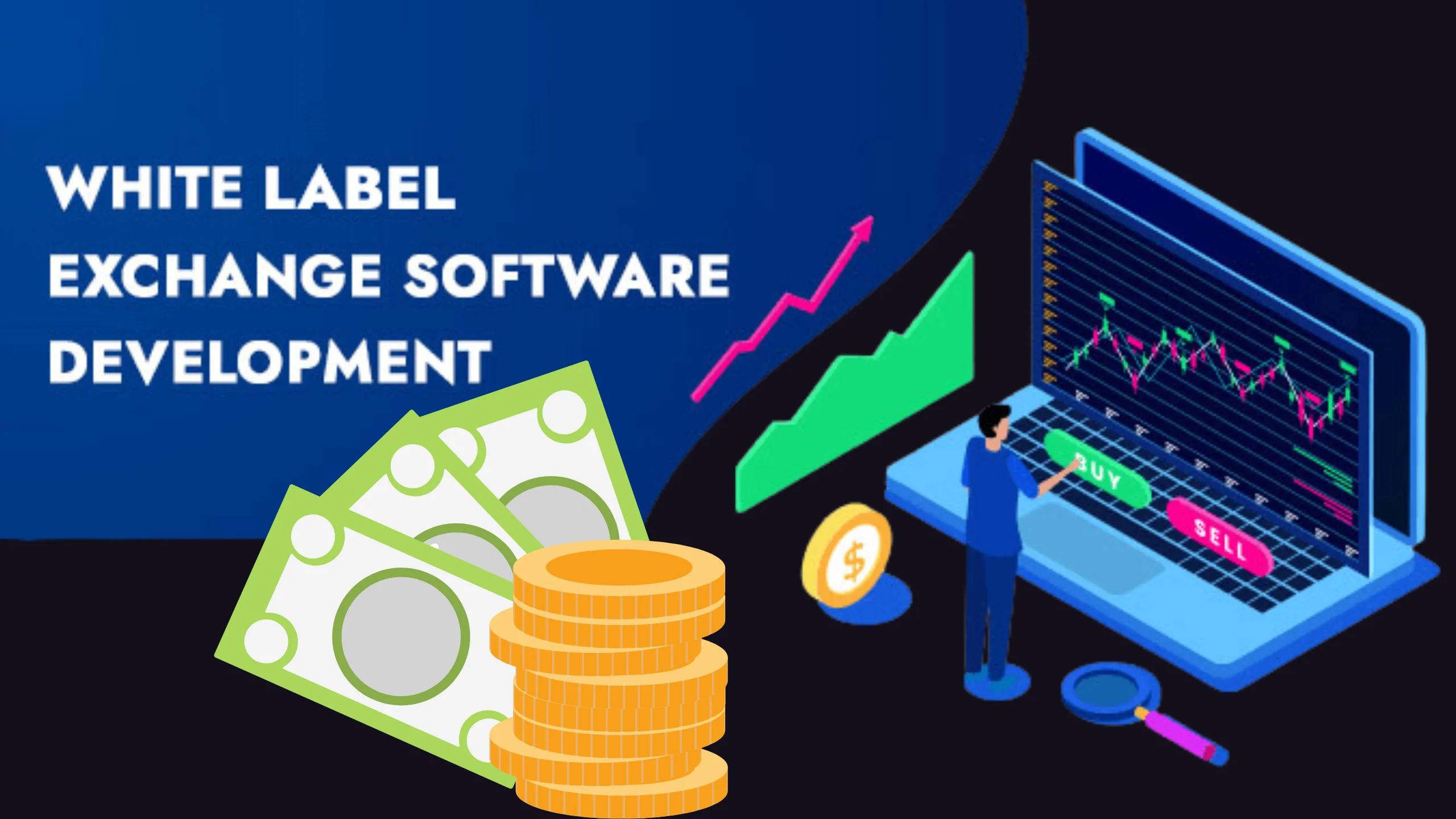 Unlocking the cost of software development for White Label Crypto Exchanges: Insights for budget planning.